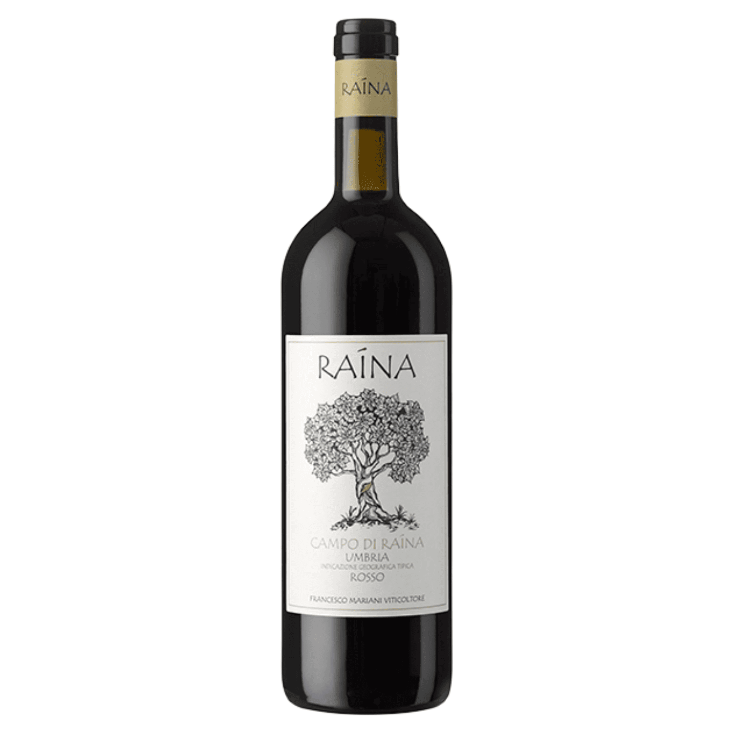 Campo di Raina montefalco sagrantino