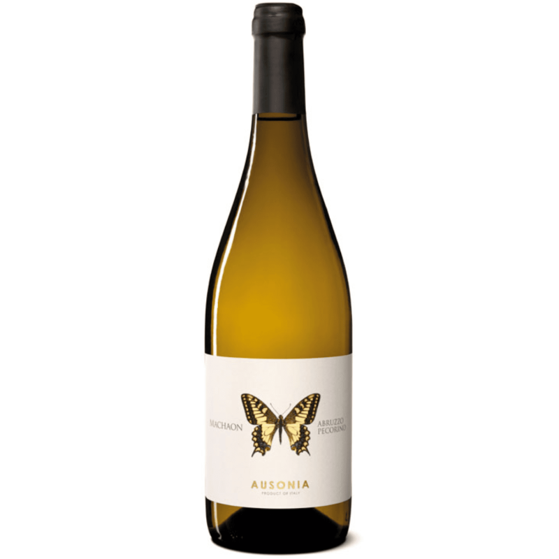 "Machaon" orange anfora - Ausonia -