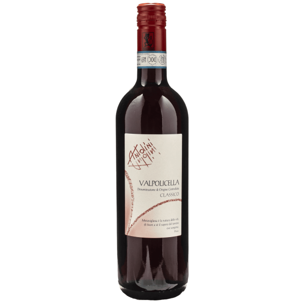 Valpolicella Classico - Antolini - 2023